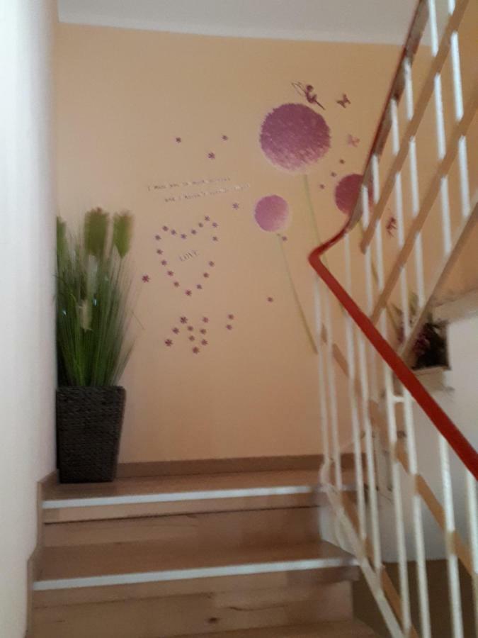 Schoene Zeit 2 Rooms Apartment With Kitchen FDH Екстериор снимка